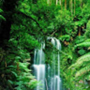 Meet your Posher, Max